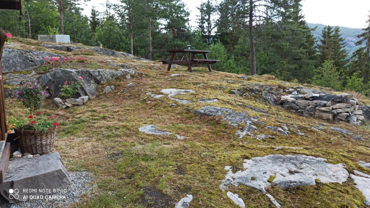 Вилла Suigard Smia Sauland Экстерьер фото